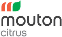 Mouton Citrus Pty Ltd